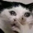 gasp