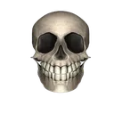 skullv2