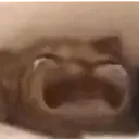 weh