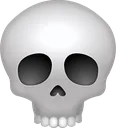 skull skull