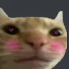 catblush
