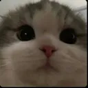 emoji_7