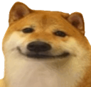 Dog_Smile Discord emoji