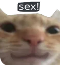 ABCswagsex
