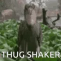 MA_ThugShakerFinnaPullUP