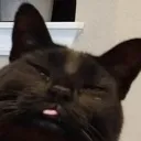 Internalscreams