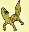 Lizard_Party Discord emoji