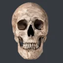 skull2