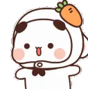 N_Pandita