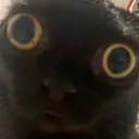 Who_Df