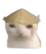 Asiancat Discord Emoji