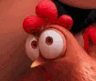 suschicken suschicken