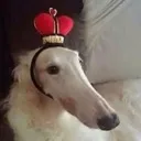 LORDFOOG