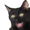 Panik