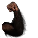 arm_left arm_left