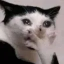 emoji_5 emoji_5