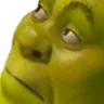 RCHShrekDoubt