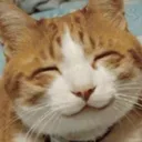 kot_glad Discord Emoji