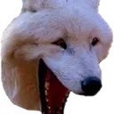 Wolflaugh wolflaugh Discord Emoji