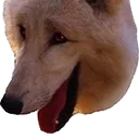 wolflaugh2 Discord Emoji