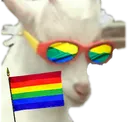pridebob