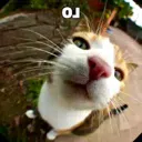 ol