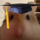 hamProfessor