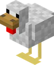 pigeon