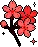 AscRedSakura