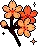 AscOrangeSakura AscOrangeSakura