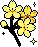 AscYellowSakura