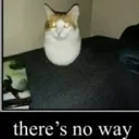 theresnoway
