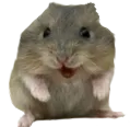 wheee