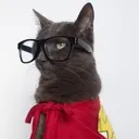 kittysolo Discord Emoji