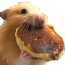 hamNom