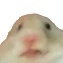 hamMom
