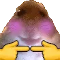 sHamNervous