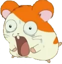 hamtaroScared