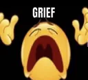 grief