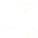 FastFlight