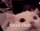 dedchat dedchat