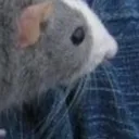 fatrat8 fatrat8