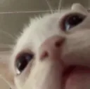 heh