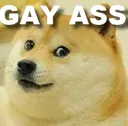 doge_swear Discord Emoji