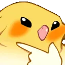 zbirbwavy