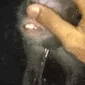 slap