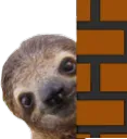 slothpeek slothpeek