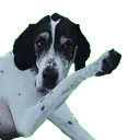 kaman_wave