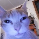 LosVoyAMatar Discord emoji