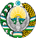 Uzbekistan Discord emoji